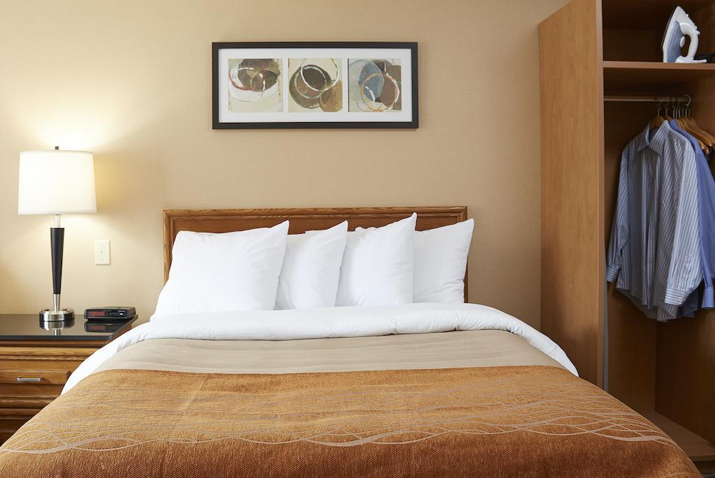 Comfort Inn Эдмундстон Экстерьер фото