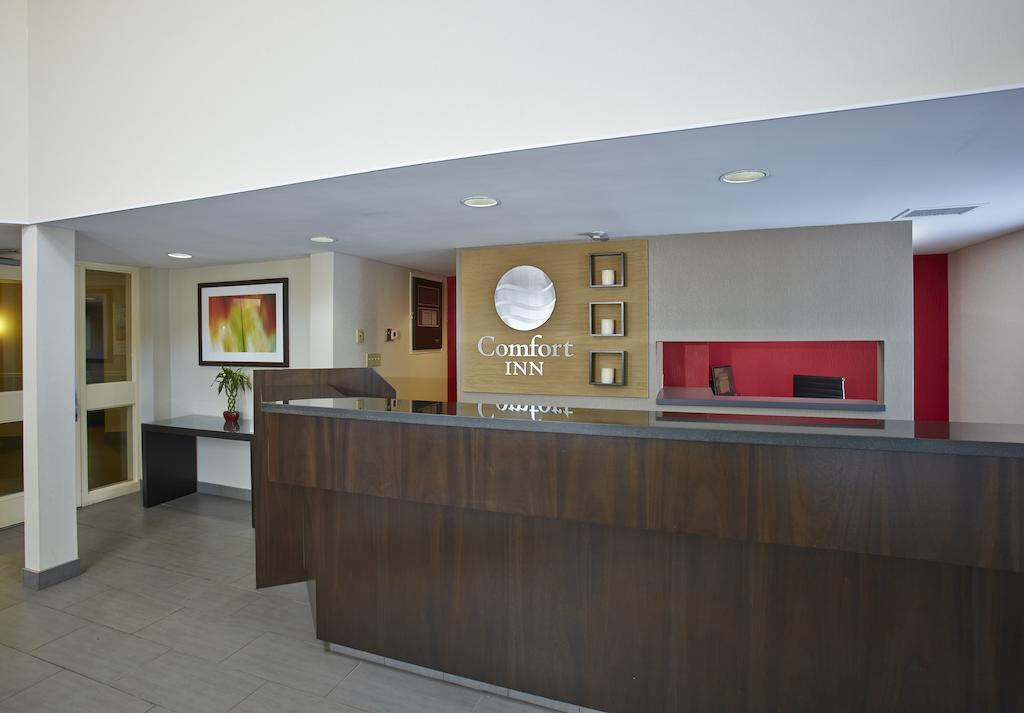 Comfort Inn Эдмундстон Экстерьер фото
