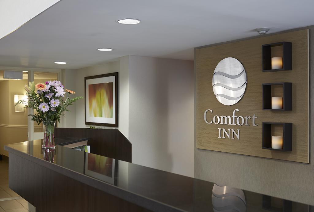 Comfort Inn Эдмундстон Экстерьер фото
